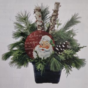 Christmas Cemetery/Porch Pot - Live (approx. 30"-32")